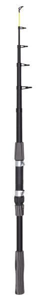 Rod 3.6 T photo