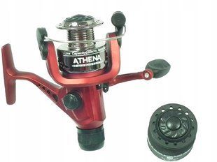 Reel Athena AT30 (6BB) photo