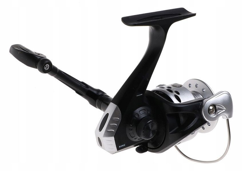 Reel King 30 6BB photo